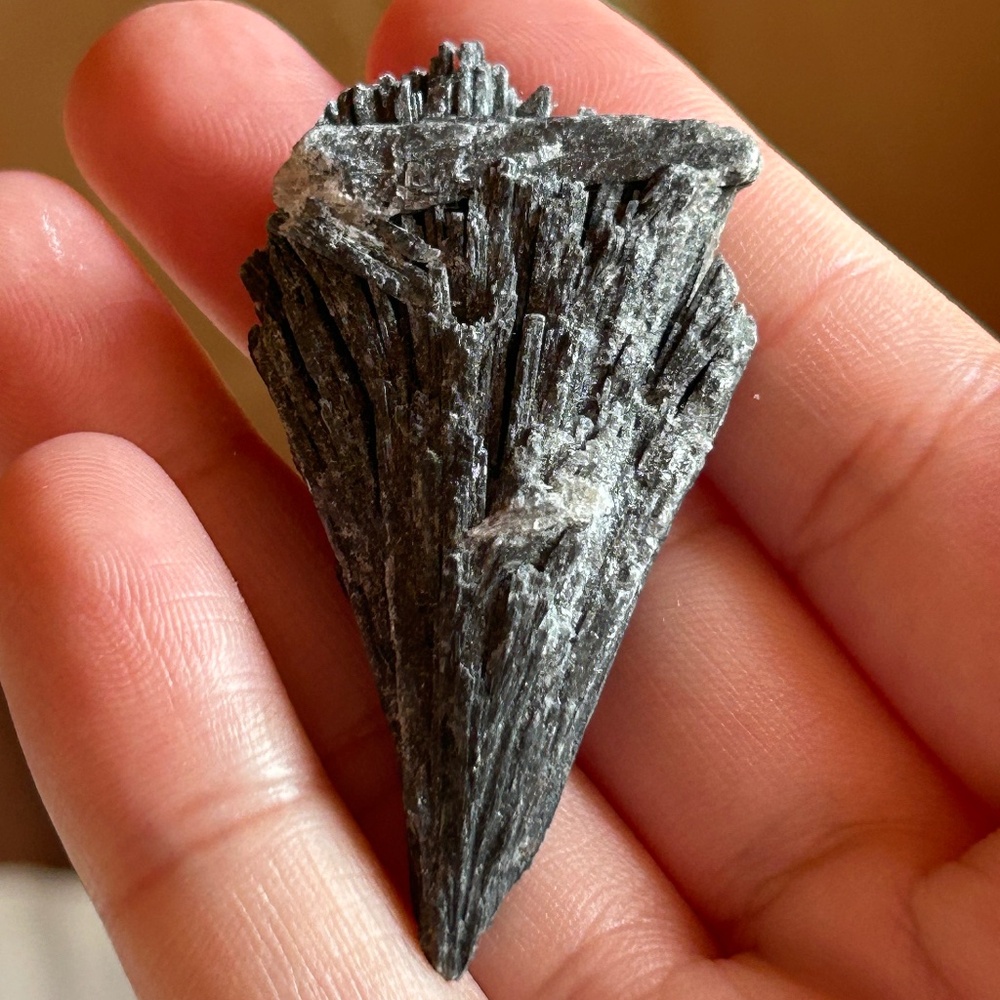 Energy Muse Black Kyanite Crystal